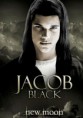 /album/twilight/affiche-du-film-twilight-jacob-jpg-500x630-q95-jpg/