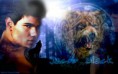 /album/twilight/jacob-black-wolf-by-vanpaiatenshi-jpg/