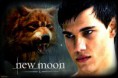 /album/twilight/jacob-black-jacob-black-24421726-1200-800-jpg/
